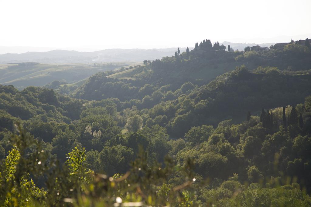 Casa Sandro a Podere Pascianella Villa Castelmuzio Esterno foto